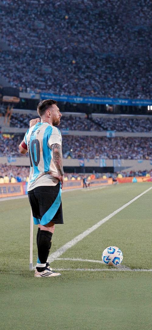 2025赛季足协杯现场观众总人数为505278人次，场均8020人（2025赛季足协杯累计观众505278人次，场均8020人）